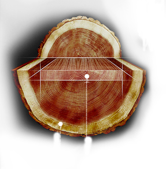 玩彩网·「中国区」官方网站
