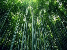 玩彩网·「中国区」官方网站